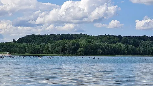 Aktywny tydzień na Warmii